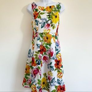 Eliza J Floral Fit and Flare Dress Size 14